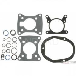 Throttle Body Injection Tune-Up Kit