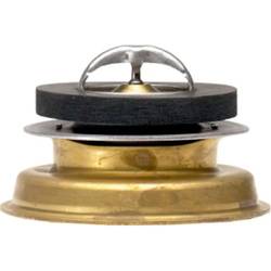 OE Type Thermostat