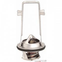 OE Type Thermostat