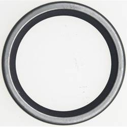 Thermostat Seal