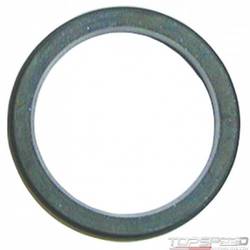 Thermostat Seal