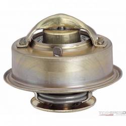 OE Type Thermostat