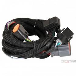 Harness Ford (4R100 1998-up)