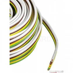 Primary Wire
