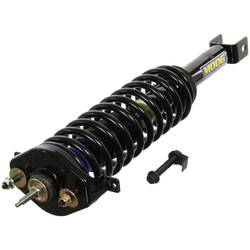 Strut and Coil Spring Assembly