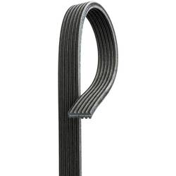 Automotive Dual-Sided V-Ribbed Belt