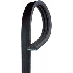 Automotive V-Ribbed Stretch Fit Belt