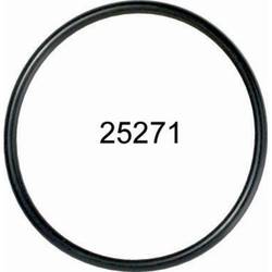 Engine Coolant Thermostat Seal