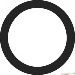 Engine Coolant Thermostat Seal