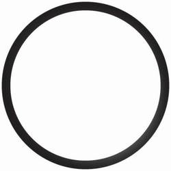Engine Coolant Thermostat Seal