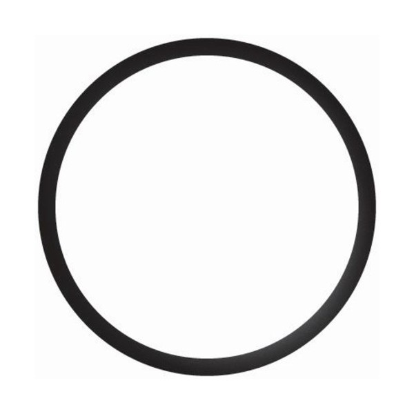 Engine Coolant Thermostat Seal