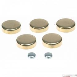 Engine Expansion Plug Kit
