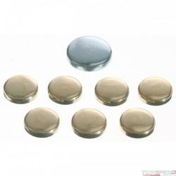 Engine Expansion Plug Kit