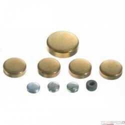 Engine Expansion Plug Kit