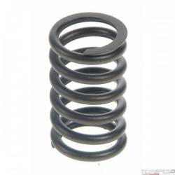 Engine Valve Spring