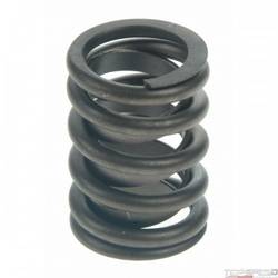 Engine Valve Spring