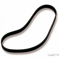 BELT 10R 6in  DP SPN