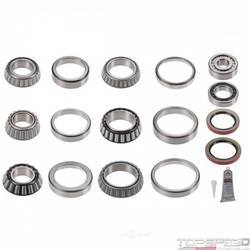 Bearing/Oil Seal Kit