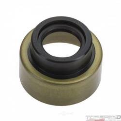 Oil Seal