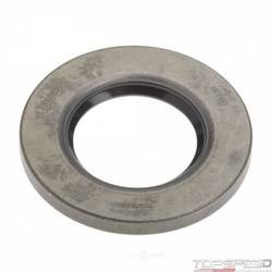 Oil Seal