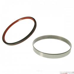 Oil Seal Kit