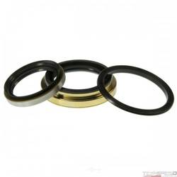 Oil Seal Kit