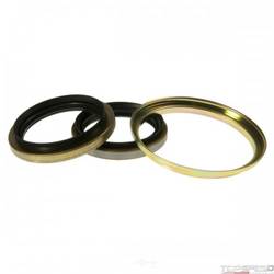 Oil Seal Kit