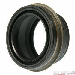 Oil Seal