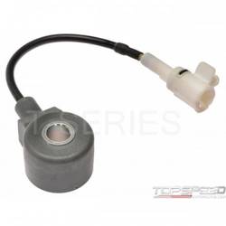 Ignition Knock (Detonation) Sensor