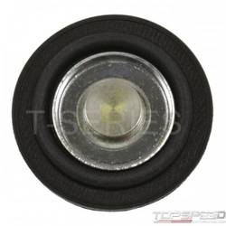 Fuel Injection Pressure Regulator