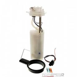 Fuel Pump and Sender Assembly