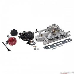 PRO FLO 4 FUEL INJECTION KIT SEQUENTIAL PORT FORD 289-302 550 HP 29 LbHr INJECTO