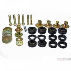 FIREBIRD BODY MOUNT SET