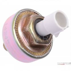 Knock (Detonation) Sensor