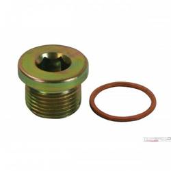 FITTING 20 MM W/COPPER WASHER