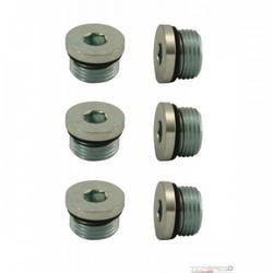 PIPE PLUG,STEEL 3/4in-16 WITH O-RING