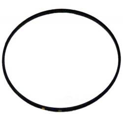 WIX Gasket