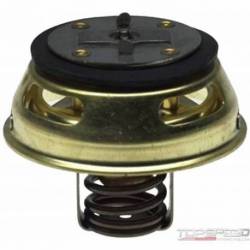 Engine Coolant Thermostat
