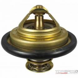 Engine Coolant Thermostat