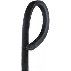 Lawn and Garden Belt
