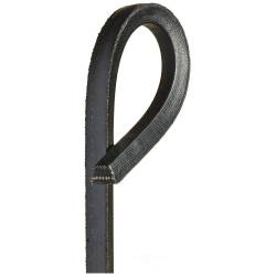 Lawn and Garden Belt