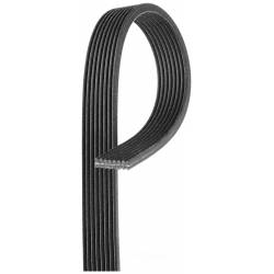 Serpentine Drive Belt