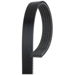 Serpentine Drive Belt