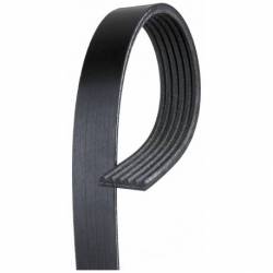 Serpentine Drive Belt