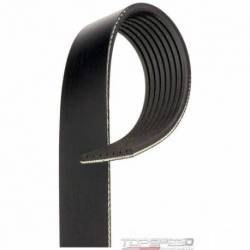 Serpentine Drive Belt