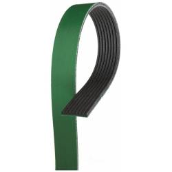 Serpentine Drive Belt