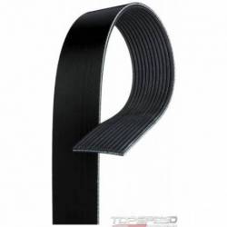 Serpentine Drive Belt