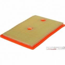 FRAM Extra Guard Rigid-Panel Air Filter