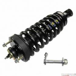 Strut and Coil Spring Assembly