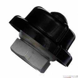 Fuel Injection Pressure Regulator